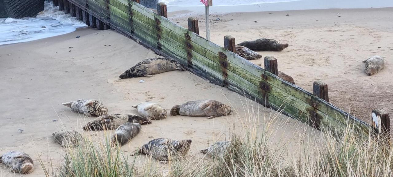 Twin Palms Guesthouse Great Yarmouth Eksteriør billede